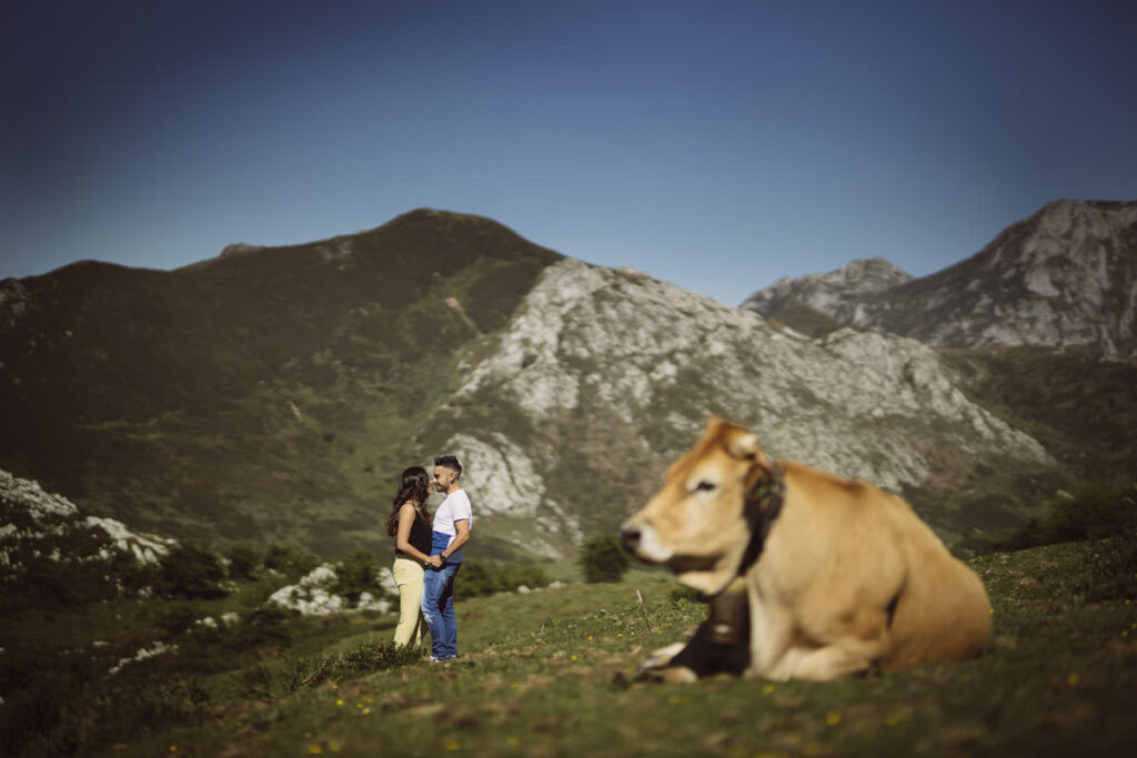 preboda en asturias 001